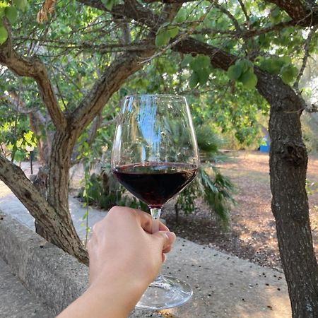 Agriturismo Salento Pietralata Andrano Zewnętrze zdjęcie