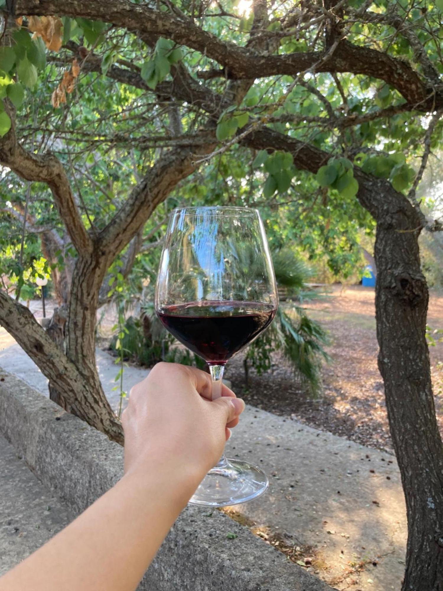 Agriturismo Salento Pietralata Andrano Zewnętrze zdjęcie