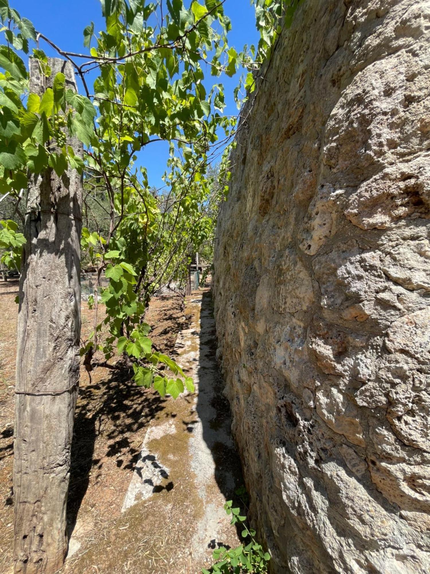 Agriturismo Salento Pietralata Andrano Zewnętrze zdjęcie