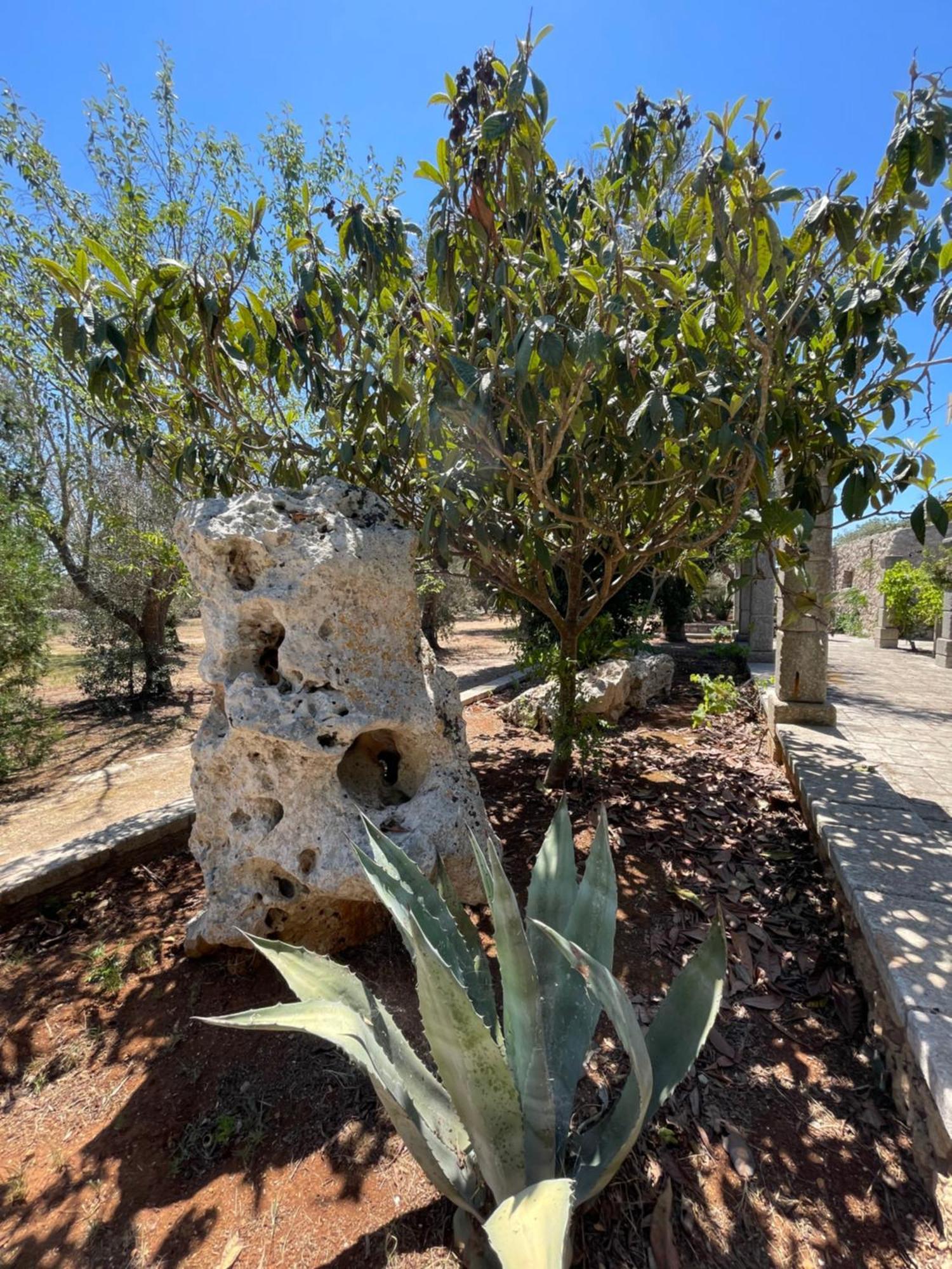 Agriturismo Salento Pietralata Andrano Zewnętrze zdjęcie