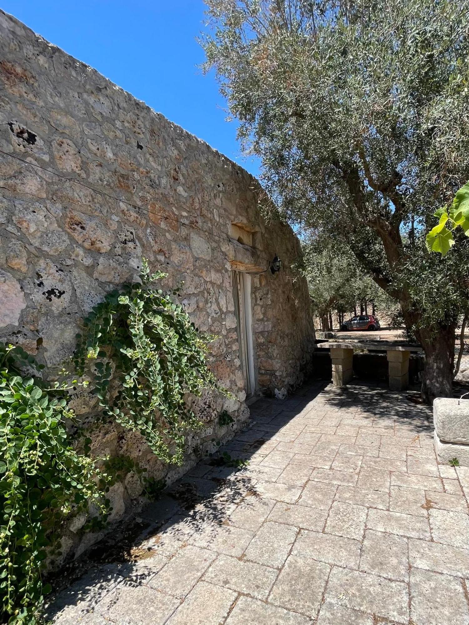 Agriturismo Salento Pietralata Andrano Zewnętrze zdjęcie